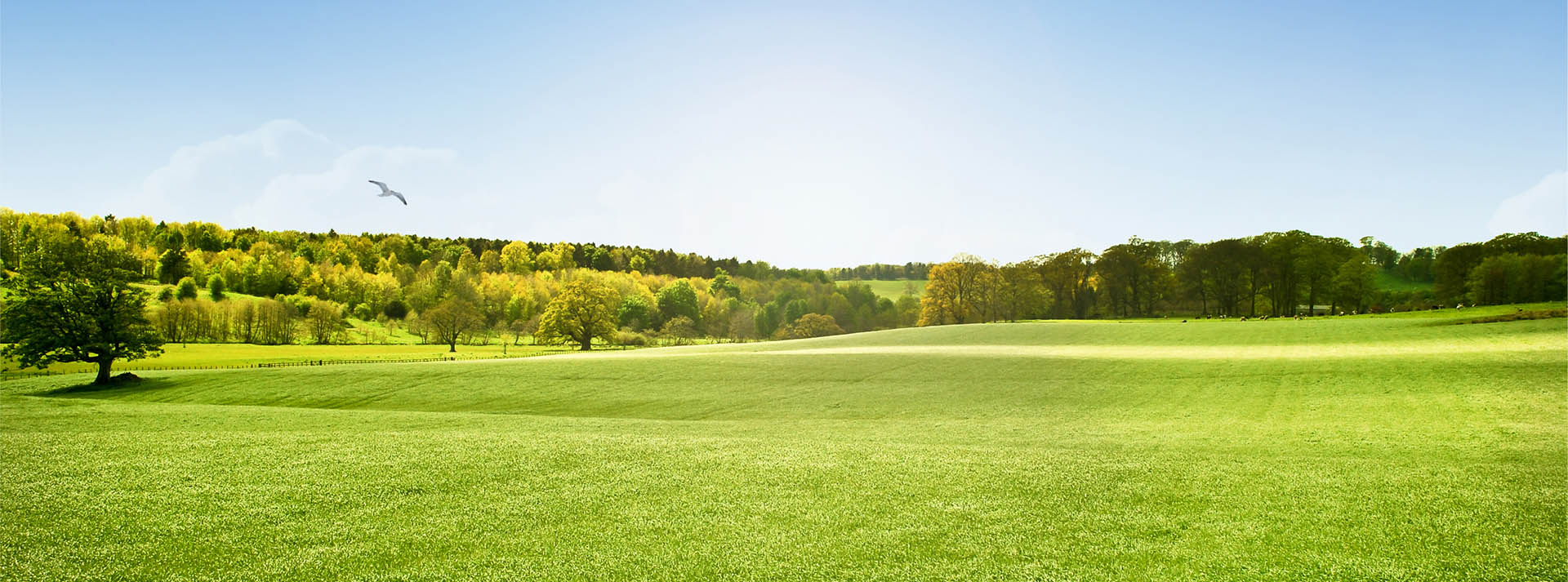 Featured Golf Tours