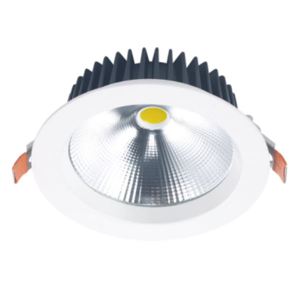 SI-DLQ2CP-25W-01