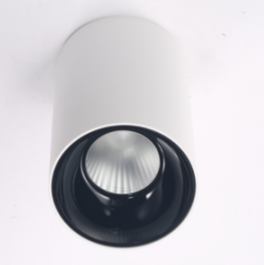 SI-DLDF2-28W